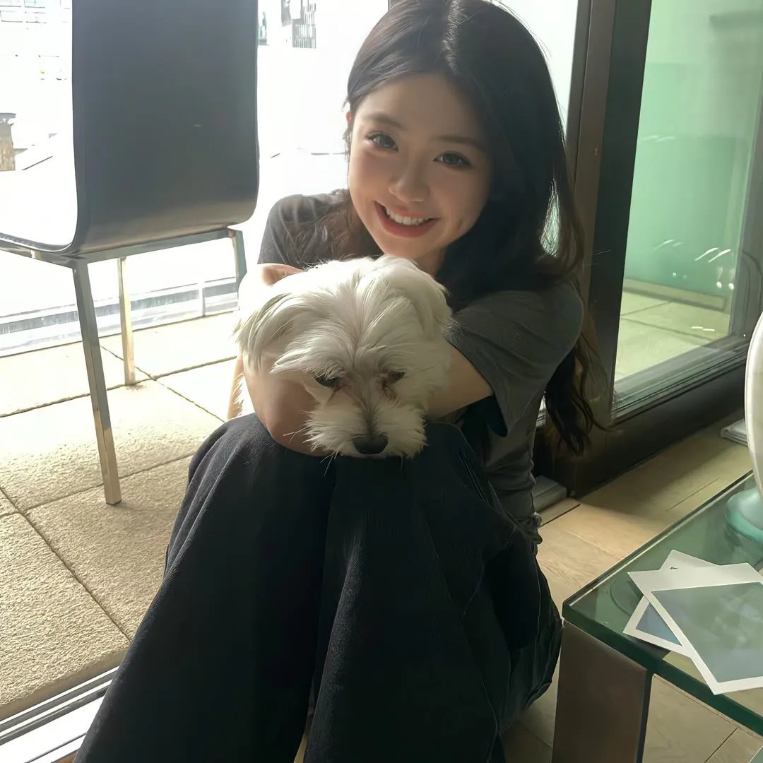 少年四大名捕国语