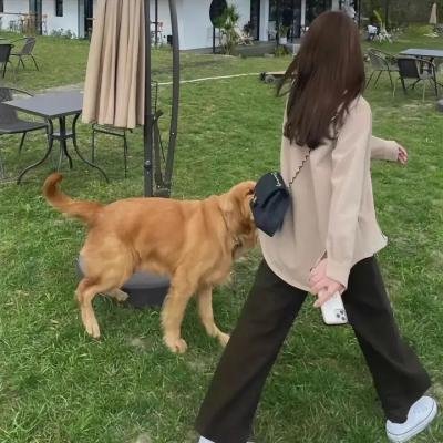 情深缘起